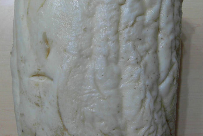 太岁肉灵芝的吃法,太岁肉灵芝的功效与作用